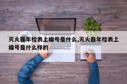 灭火器年检表上编号是什么,灭火器年检表上编号是什么样的