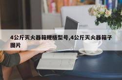 4公斤灭火器箱规格型号,4公斤灭火器箱子图片