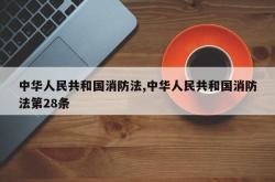 中华人民共和国消防法,中华人民共和国消防法第28条